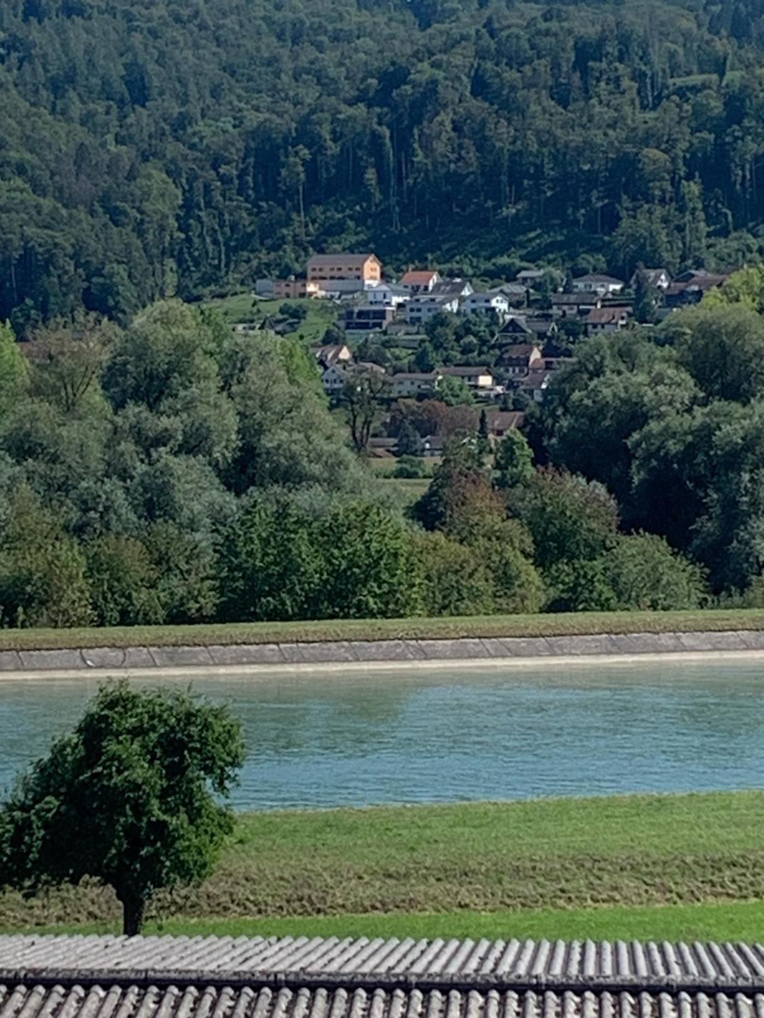 Hochrhein Ferienwohnung Albbruck Luaran gambar
