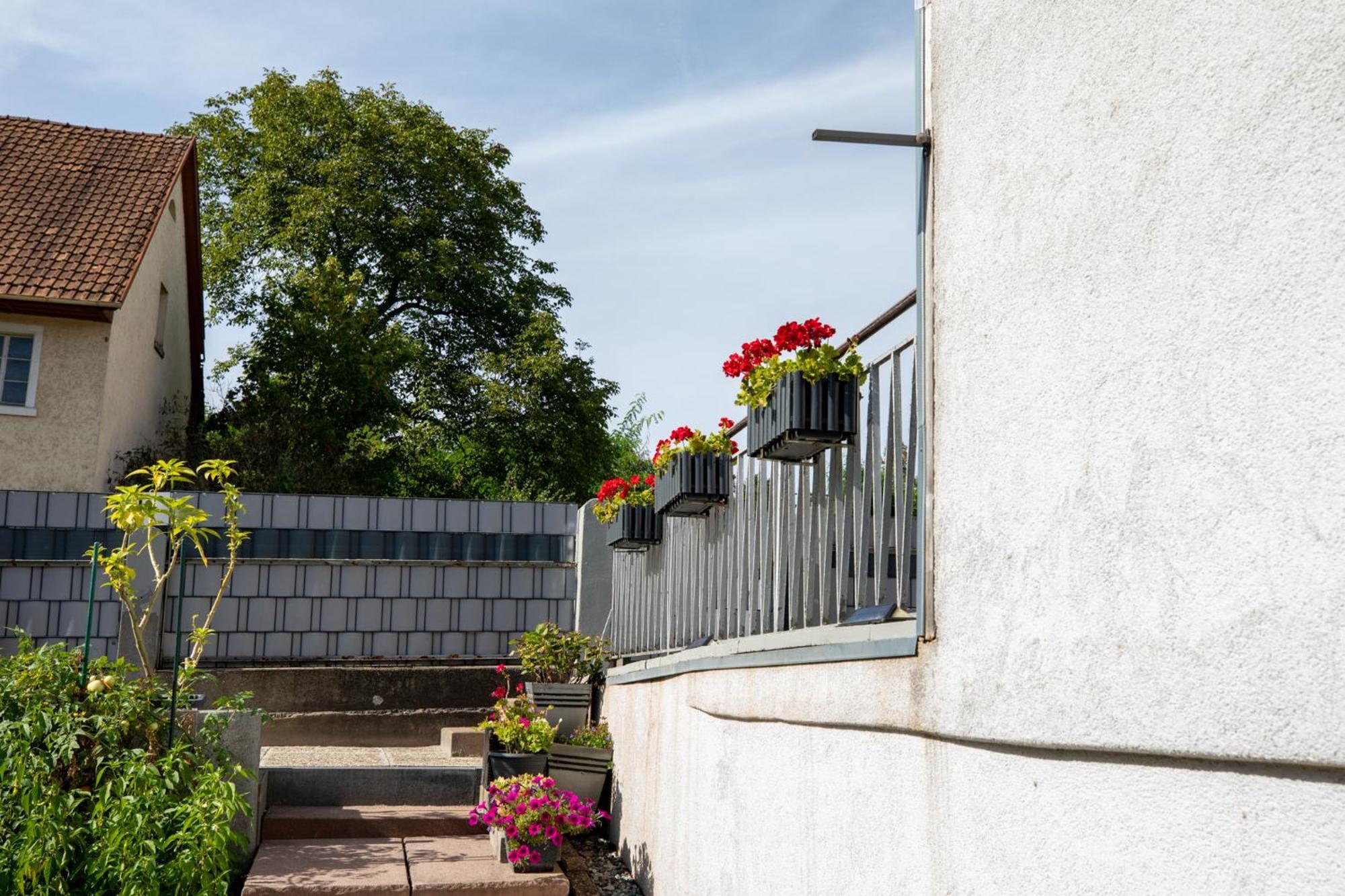 Hochrhein Ferienwohnung Albbruck Luaran gambar